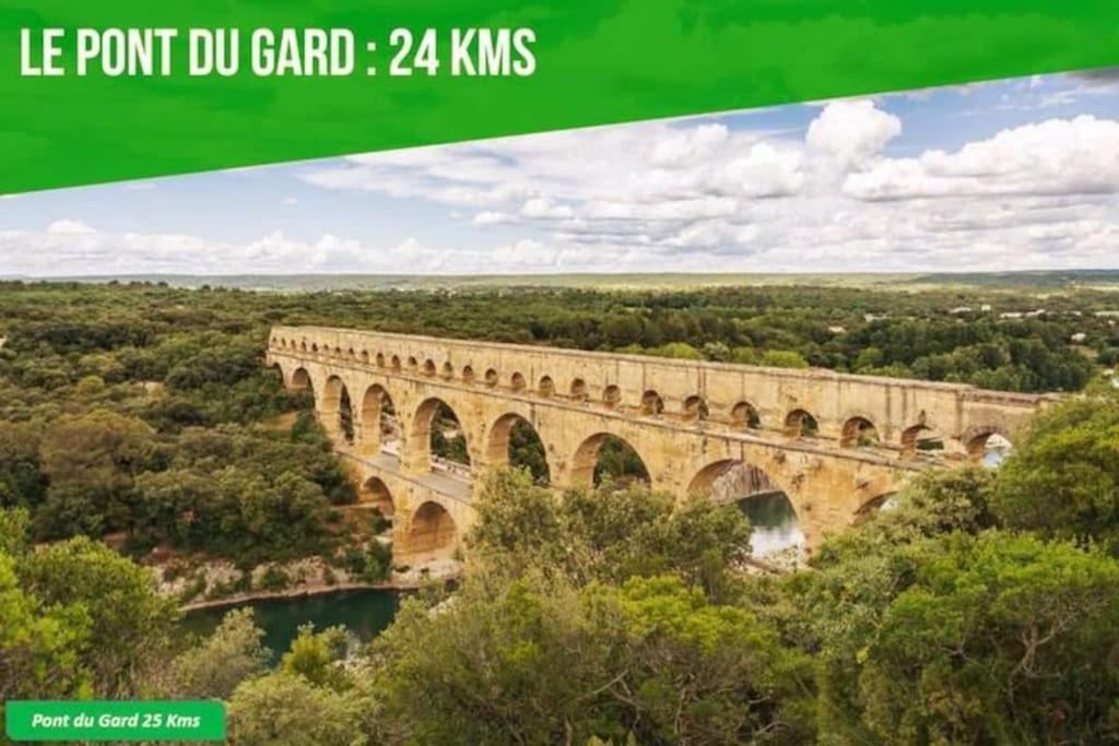 La Balance Des Doms - 1 Min Du Palais Des Papes - Intra-Muros Avinyon Dış mekan fotoğraf