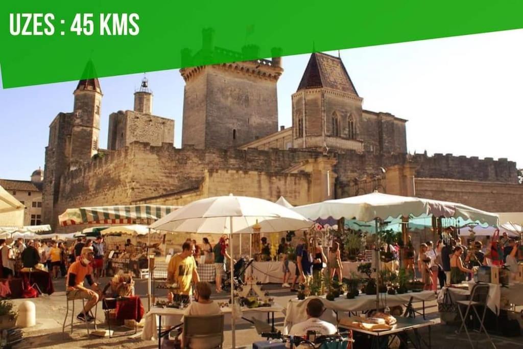 La Balance Des Doms - 1 Min Du Palais Des Papes - Intra-Muros Avinyon Dış mekan fotoğraf